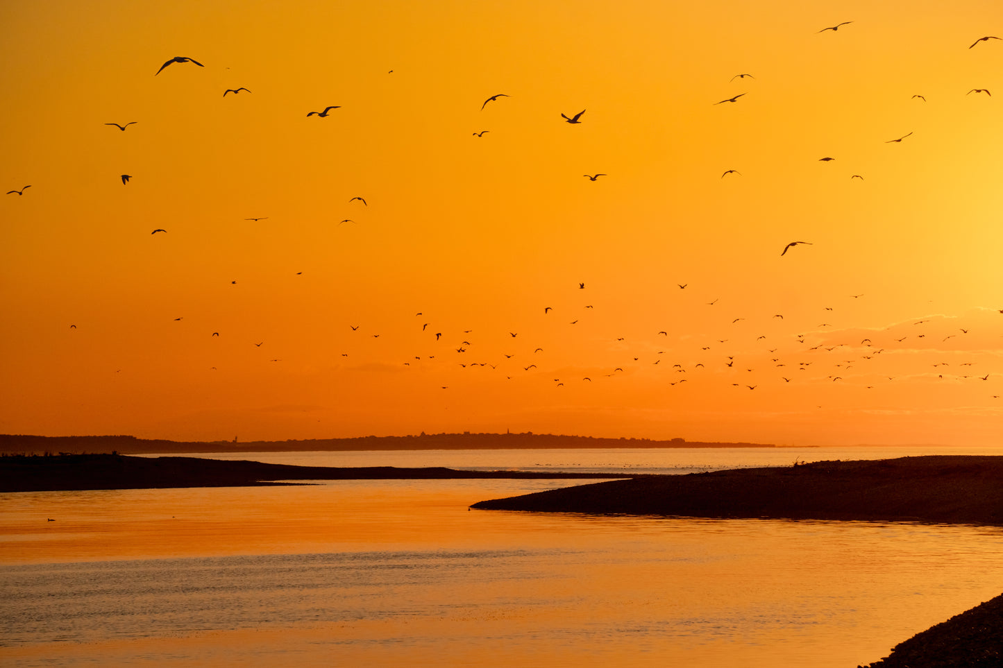 2026 Lossiemouth Calendar - UK Delivery included